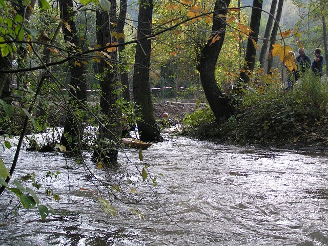 Botič