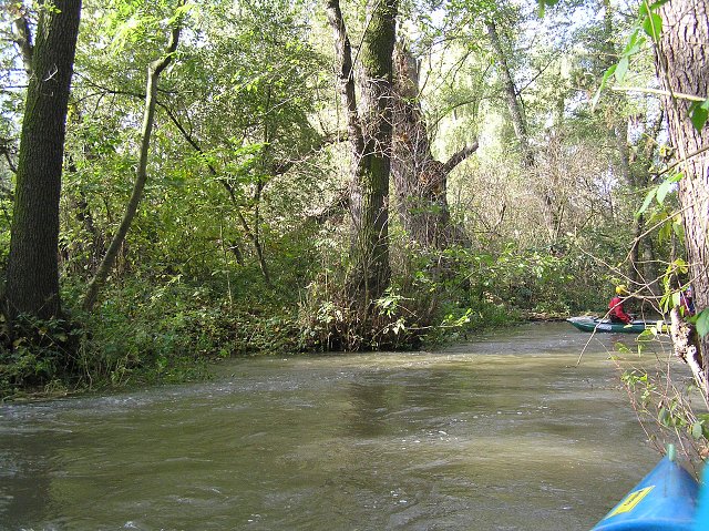 Botič