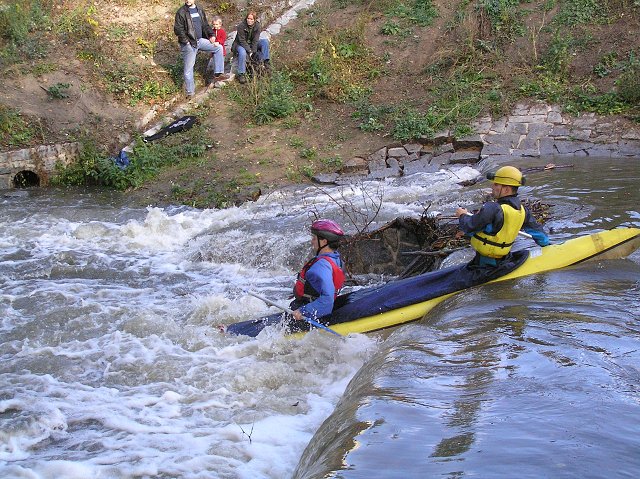 Botič