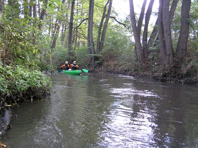 Botič