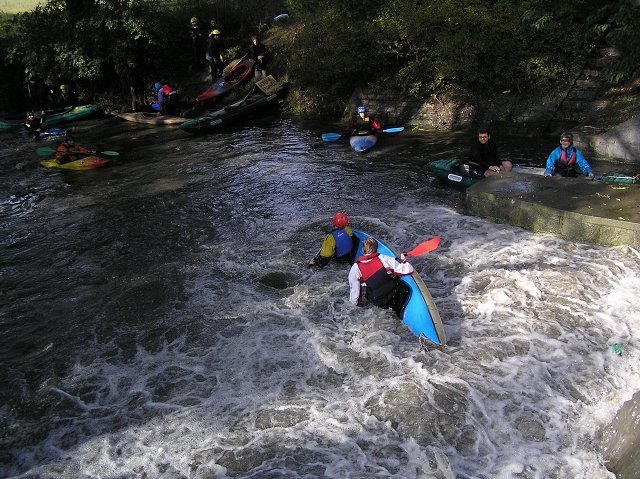 Botič