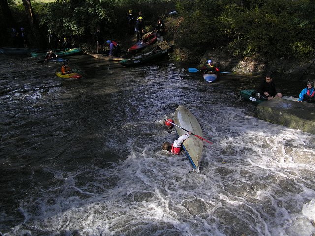 Botič