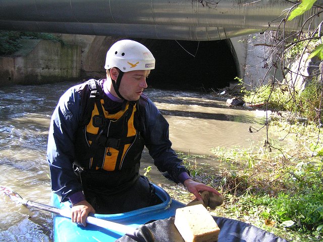 Botič