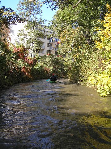 Botič