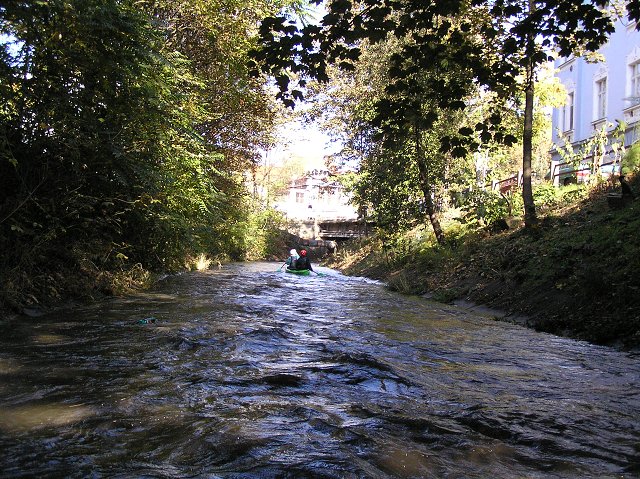 Botič
