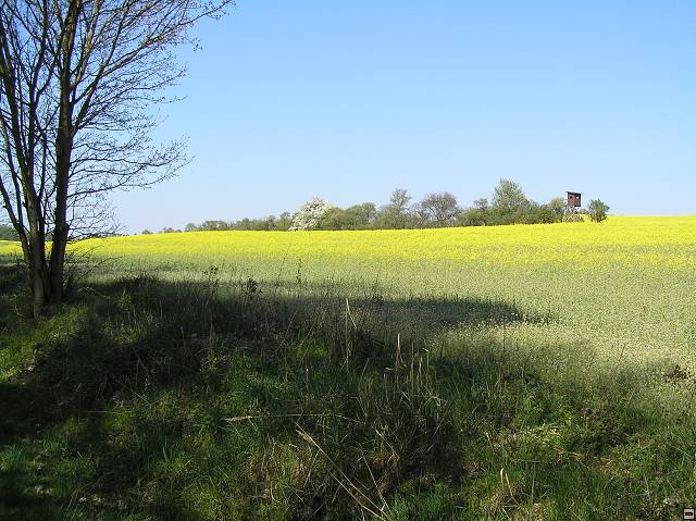 Zbečno - pěšárna