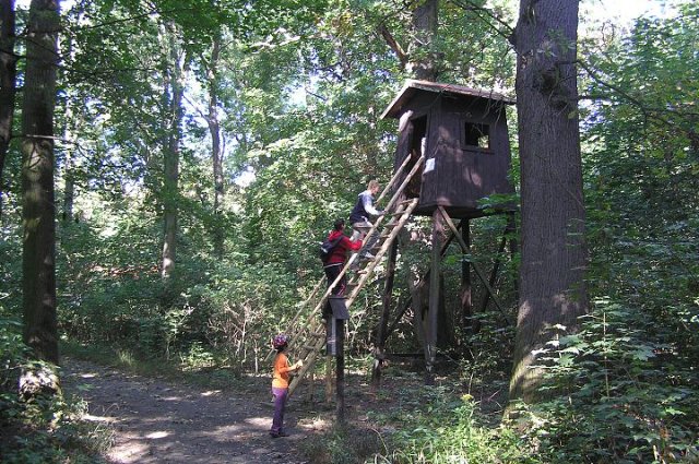 Starý Kolín - kola