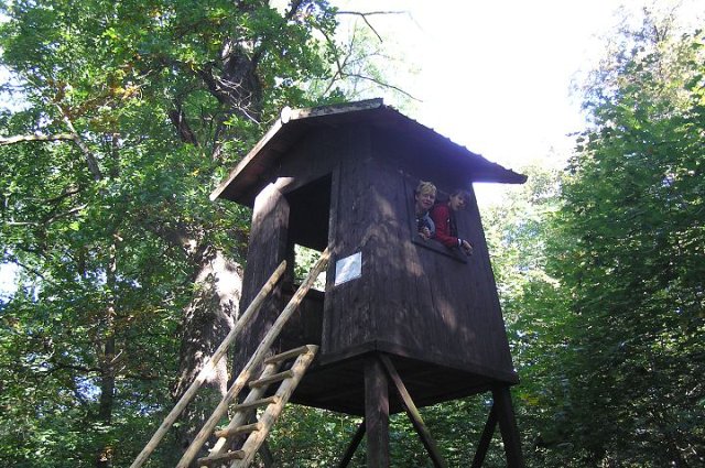 Starý Kolín - kola