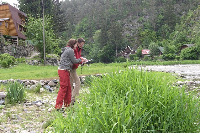 img00113.jpg