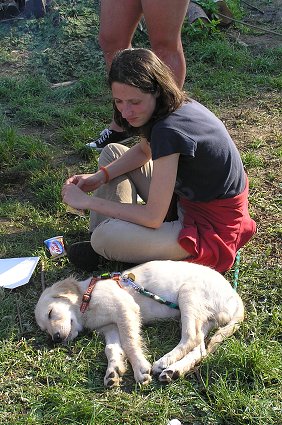 img00146.jpg