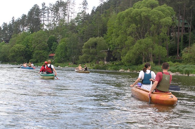 img00172.jpg