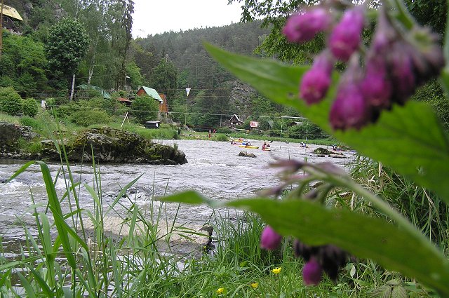 img00237.jpg