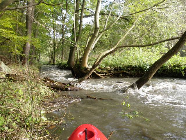 img00044.jpg
