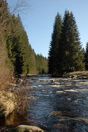 img00094.jpg