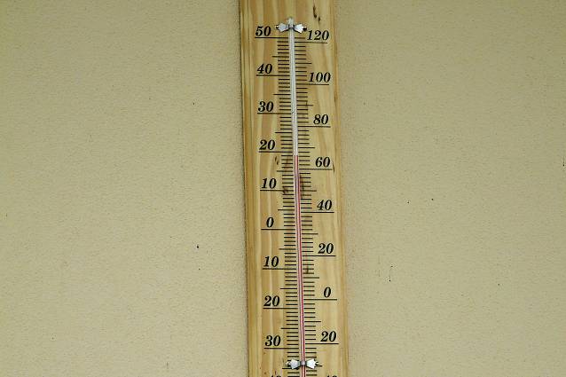 img00099.jpg