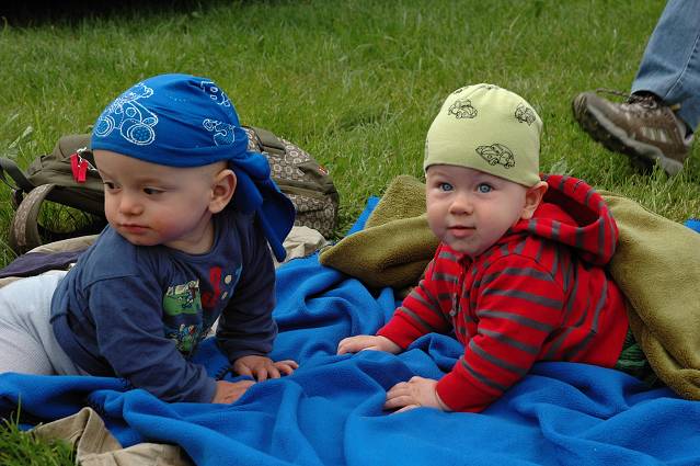 img00105.jpg