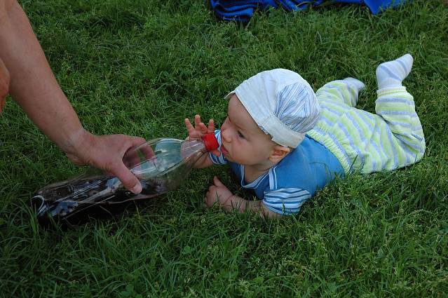 img00154.jpg