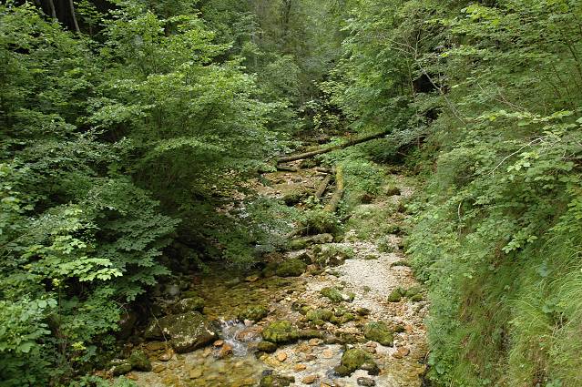 img00121.jpg