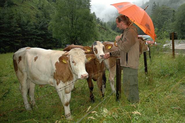 Rakouské řeky