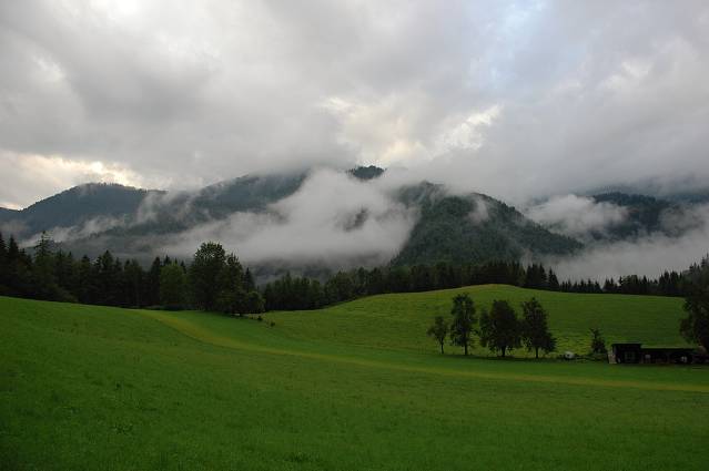 img00305.jpg