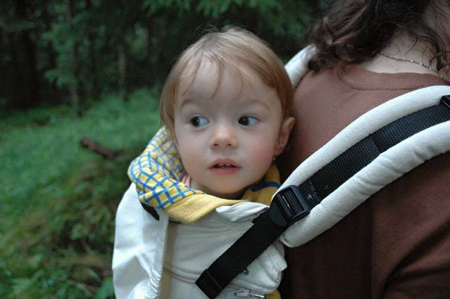 img00309.jpg