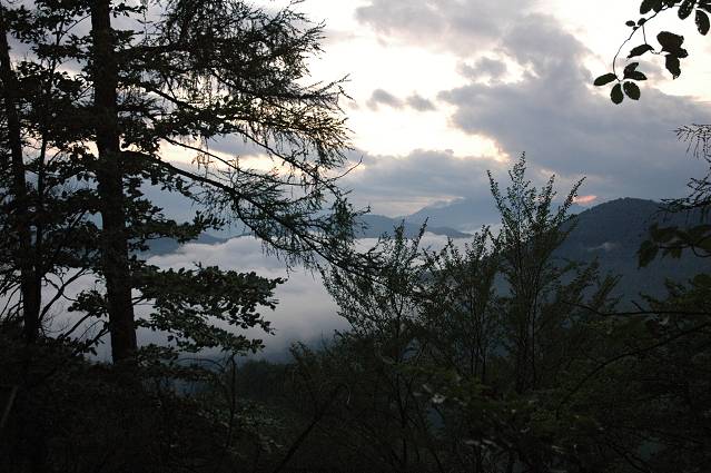 img00313.jpg