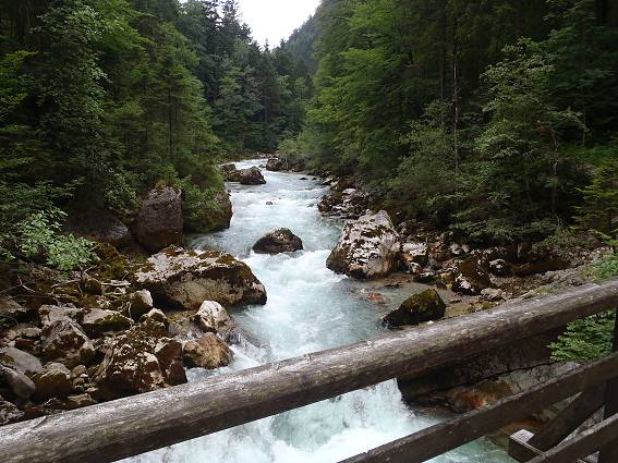img00325.jpg