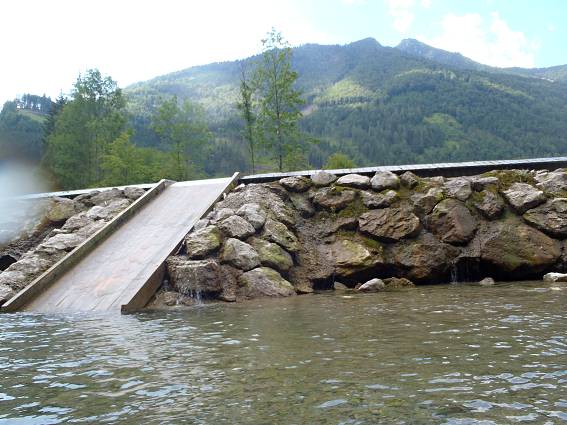 img00333.jpg