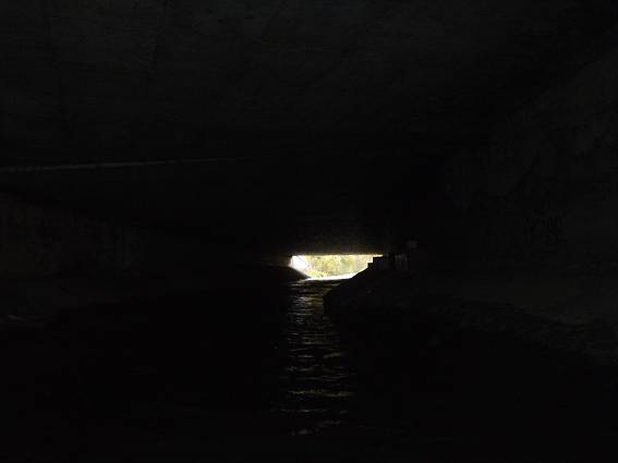 img00017.jpg