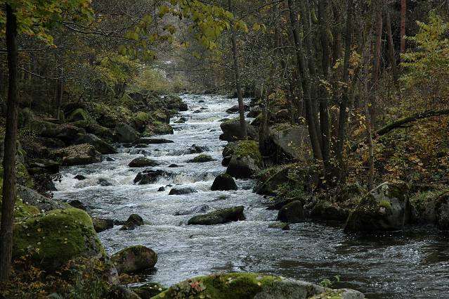 img00101.jpg