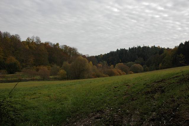 img00135.jpg