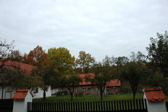 img00136.jpg