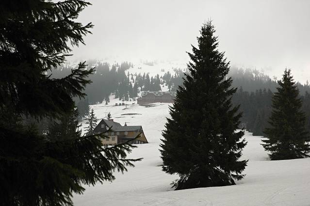 img00104.jpg