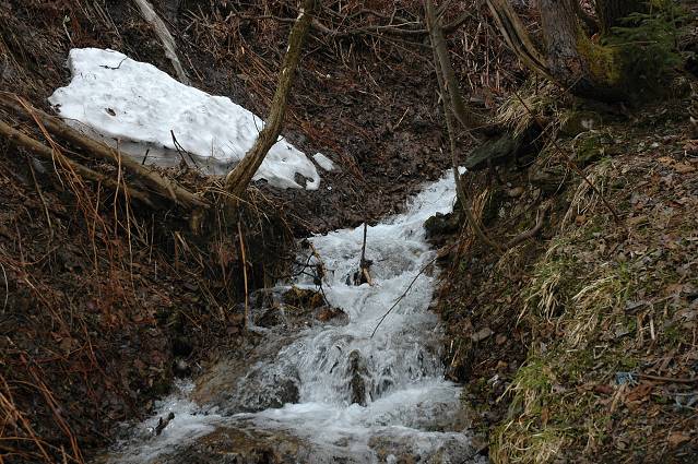 img00119.jpg