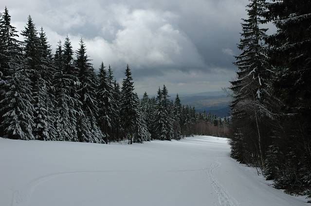 img00130.jpg