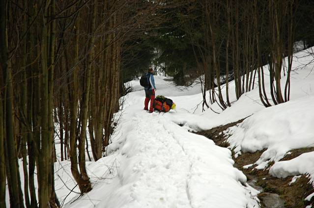 img00135.jpg