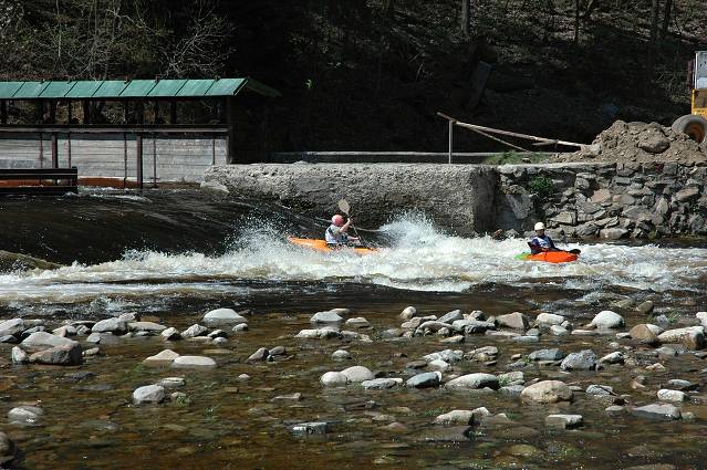 img00039.jpg