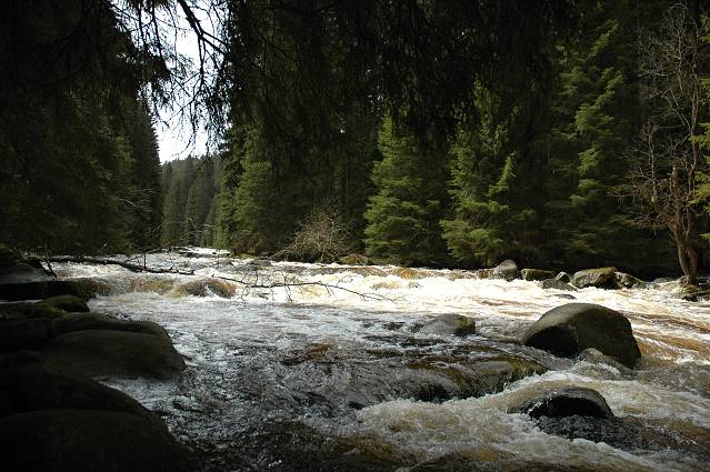 img00131.jpg