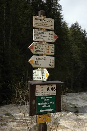 img00135.jpg