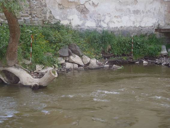 img00052.jpg