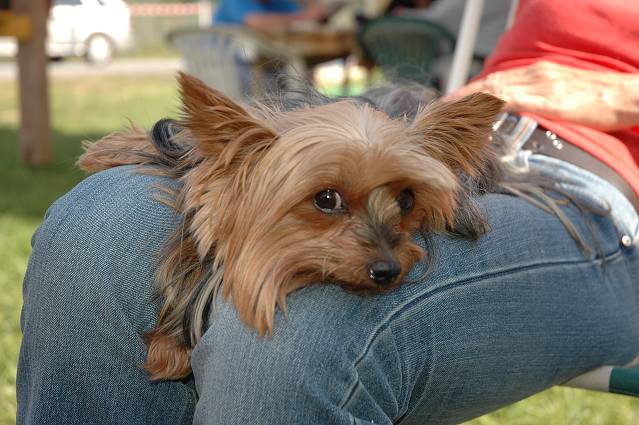 img00151.jpg