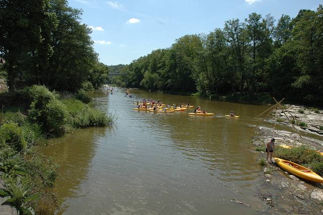 img00037.jpg