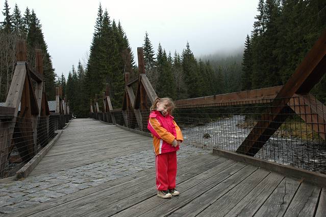img00139.jpg