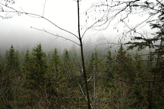 img00152.jpg