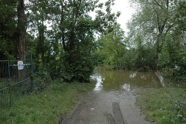 img00135.jpg