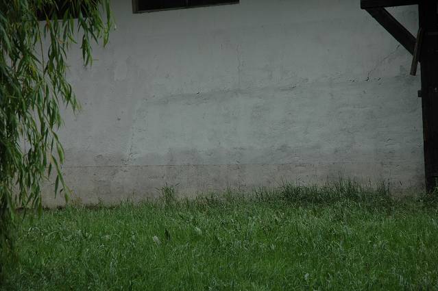 img00137.jpg