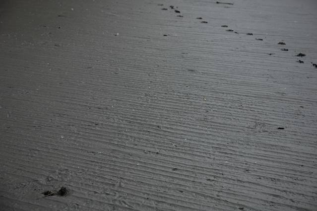 img00139.jpg