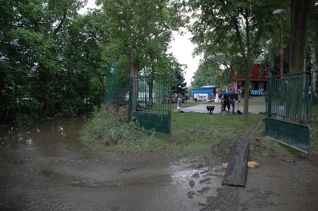img00146.jpg