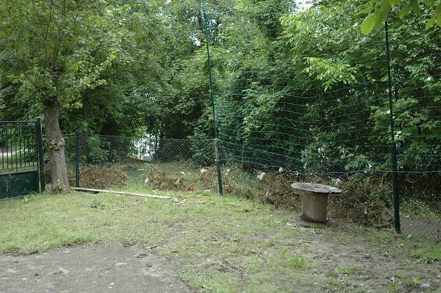 img00172.jpg