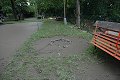 thn00116.jpg